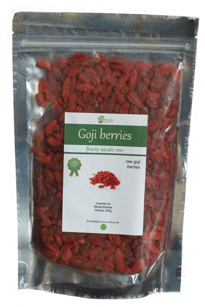 GOJI BERRY RAW BIO 100G